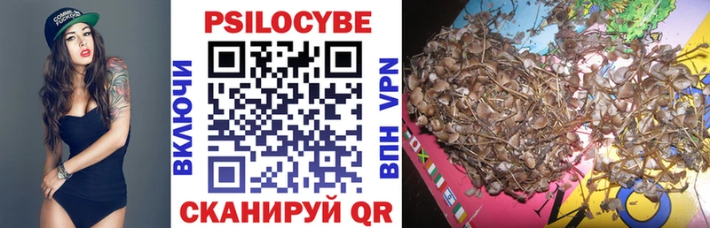 Псилоцибиновые грибы Magic Shrooms  Купить закладки  Коряжма 